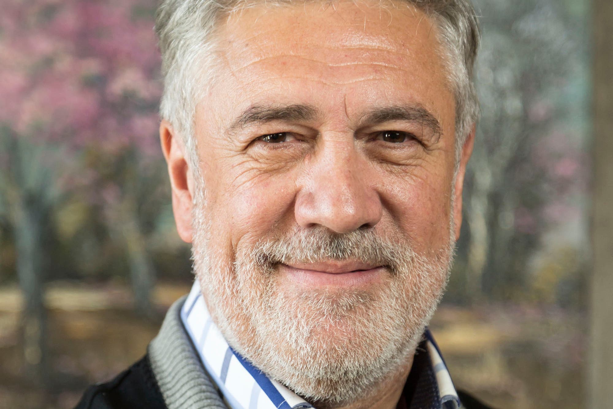 Luis Tonelli- analista político, politólogo
