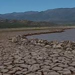 Rubén Villodas- Dir. Gestión hídrica de Irrigación «Potrerillos está bajando 15 a 20 cm por día»